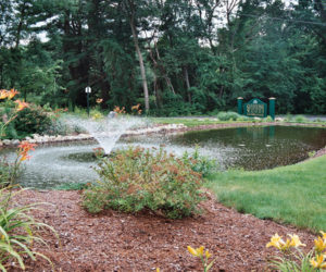Keystone Woods - Stephen A Roberts Landscape Design And Construction - Western MA